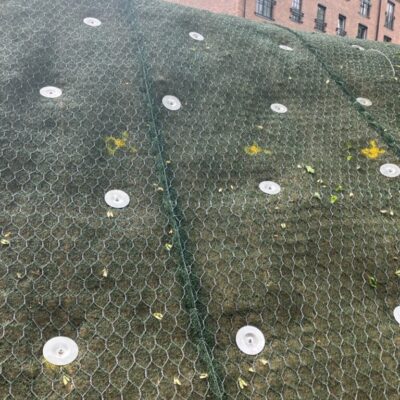 Platipus erosion control anchors Erosion control anchors hand driven through double twist rock netting and coconut matting which will assist in ground cover establishment.